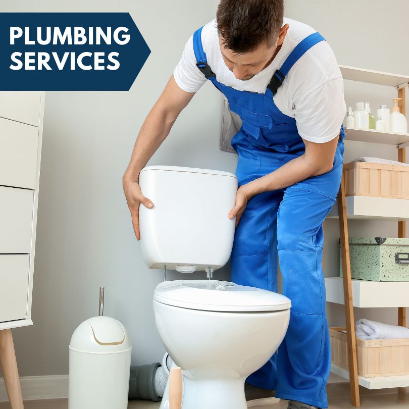 Plumbing Company in Coldwater, MI